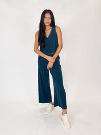 Z Supply Scout Jersey Denim Pant Indigo