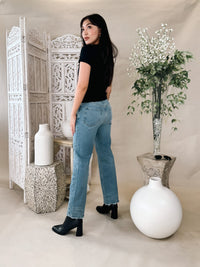 Frame Le Jane Crop Angled Zipper Jean