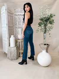 Frame Le Sleek Straight Jean