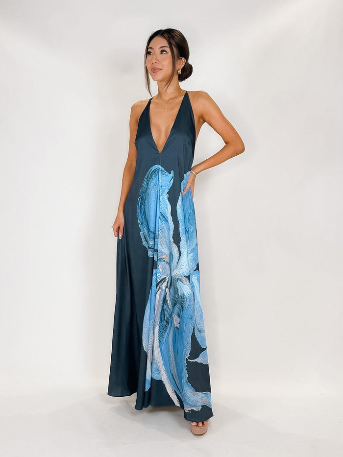 Significant Other Casea Maxi Dress