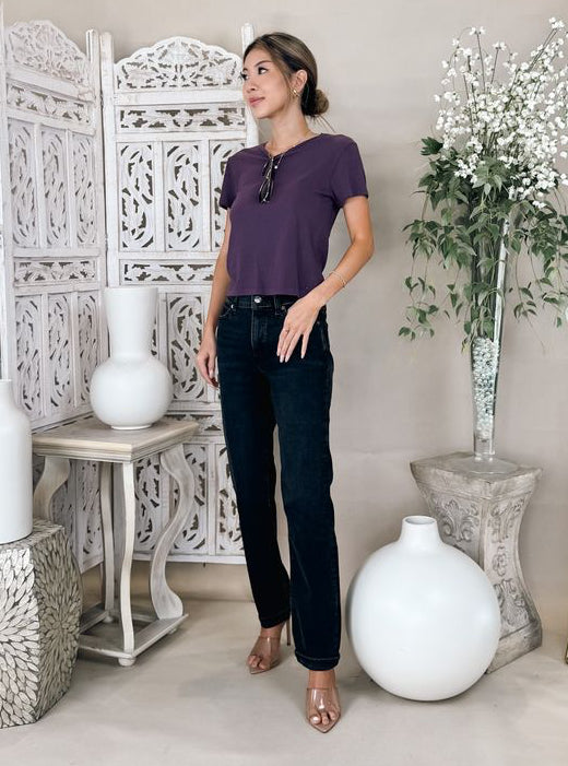 Frame The Borrowed Jean