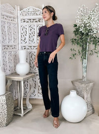 Frame The Borrowed Jean